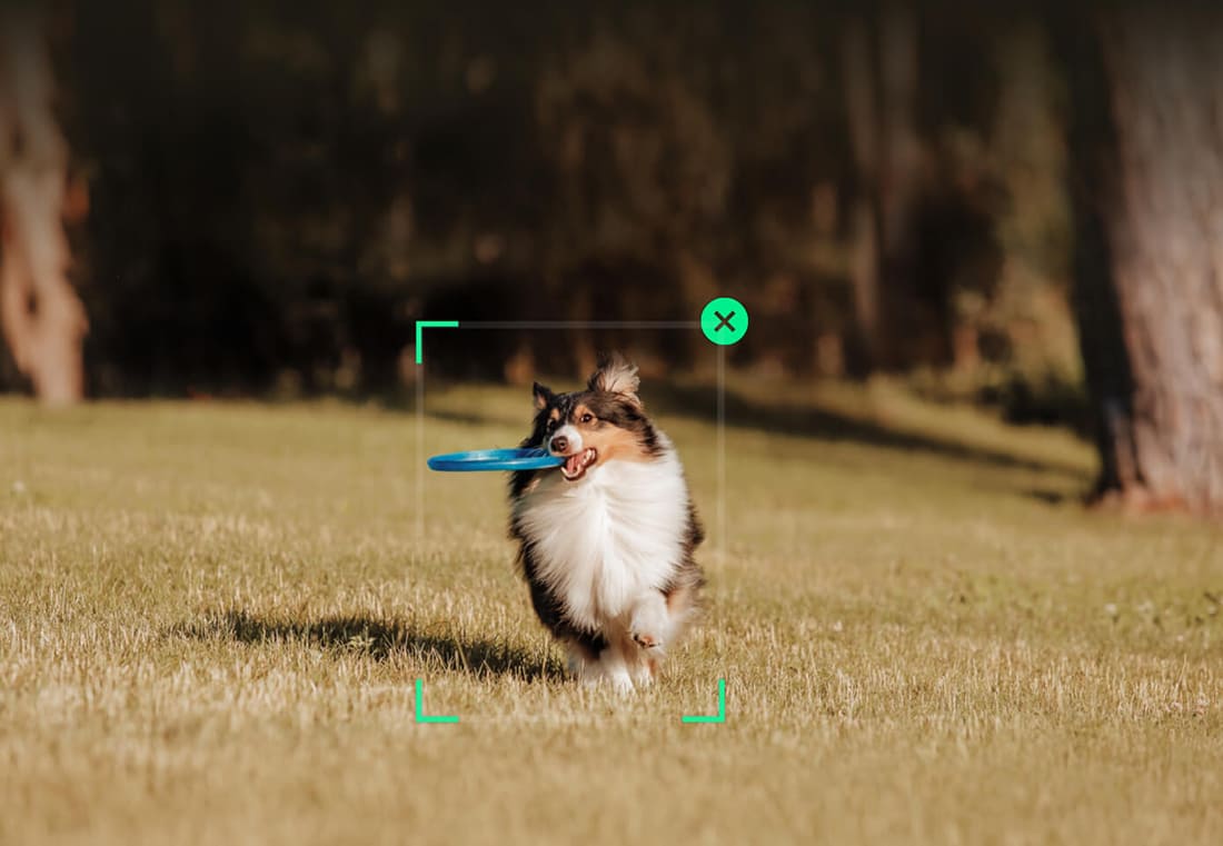 купить стабилизатор dji se в hi-store